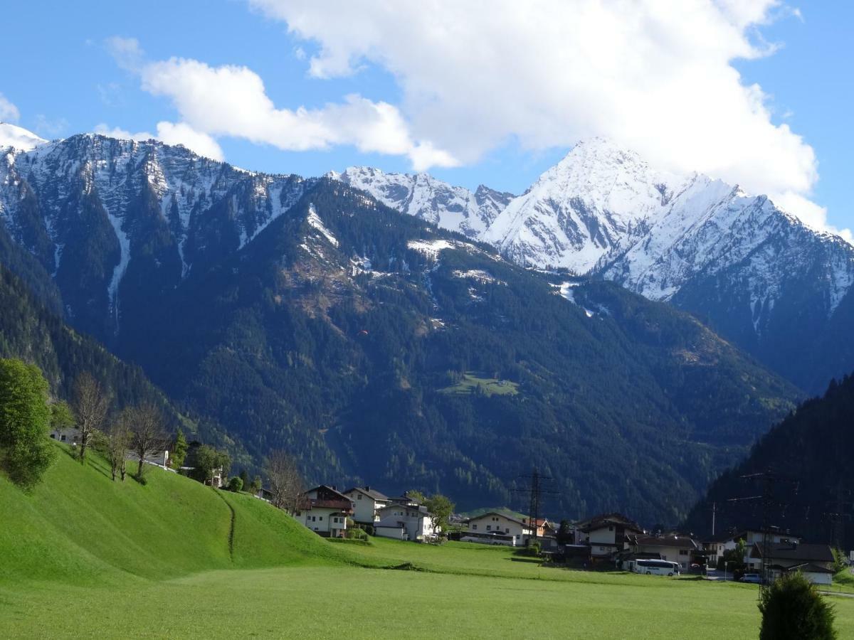 Apartment Martina Ramsau im Zillertal Eksteriør billede